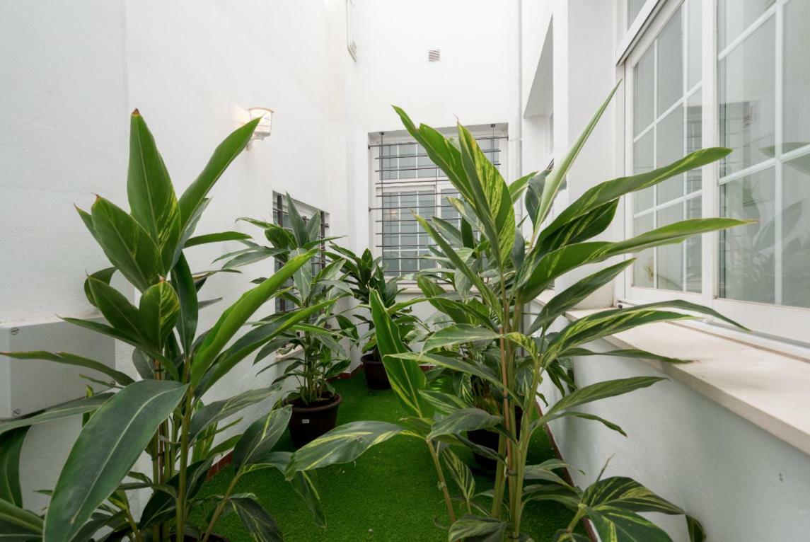 Ml1C-Prime Location Marble Apartment With Patios Málaga Esterno foto